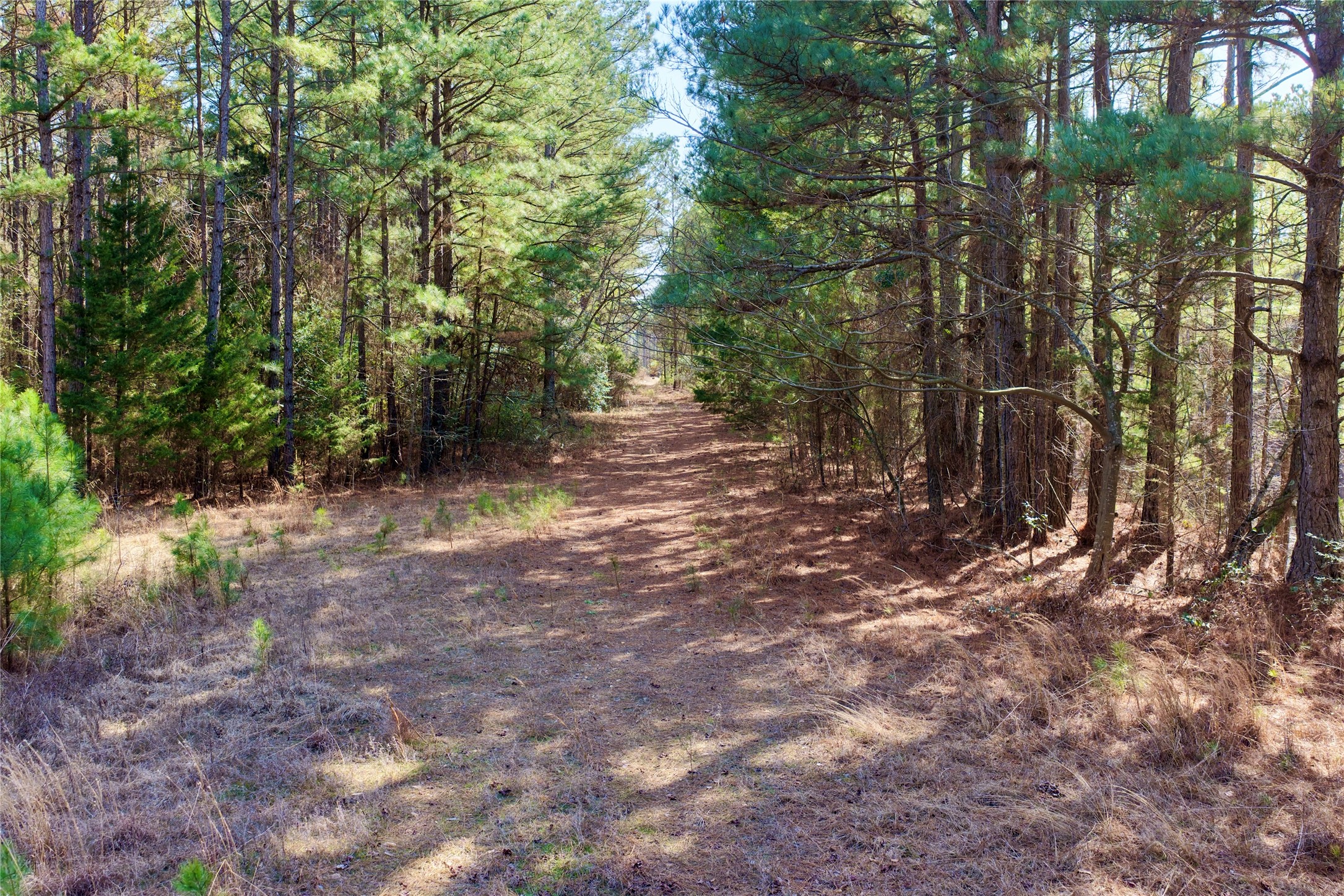 0000 Stateline Road Texarkana TX 75501
