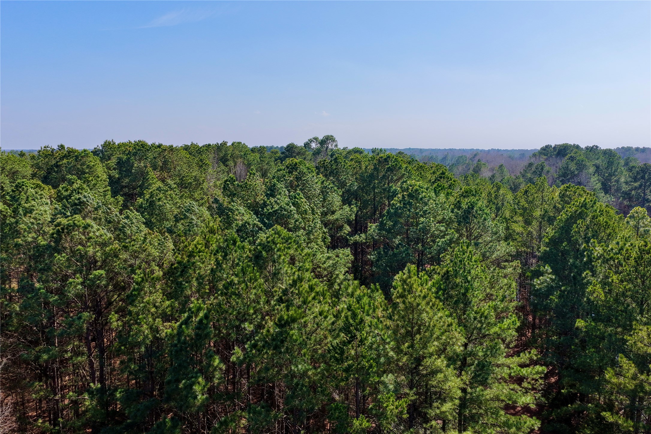 0000 Stateline Road Texarkana TX 75501
