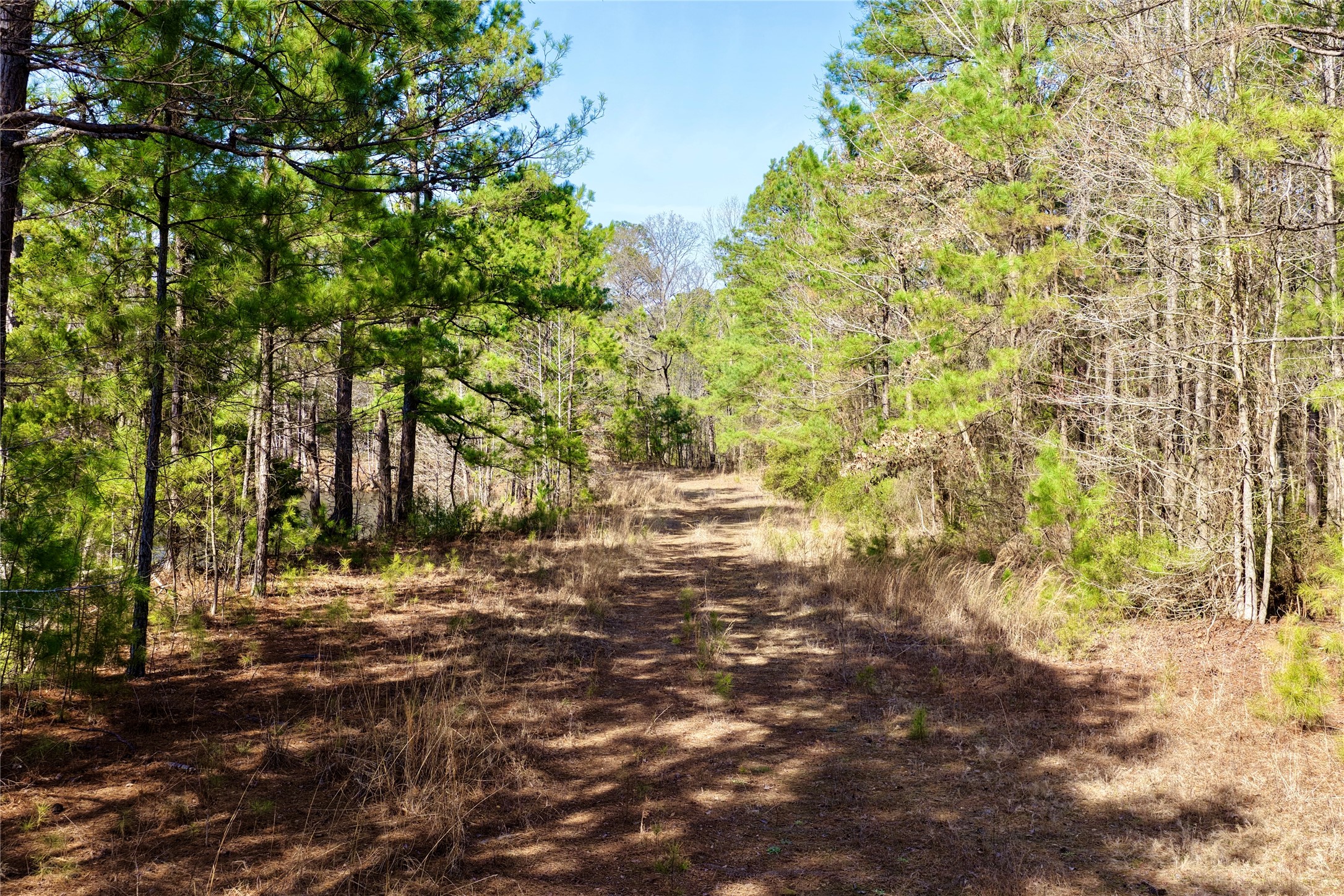 0000 Stateline Road Texarkana TX 75501