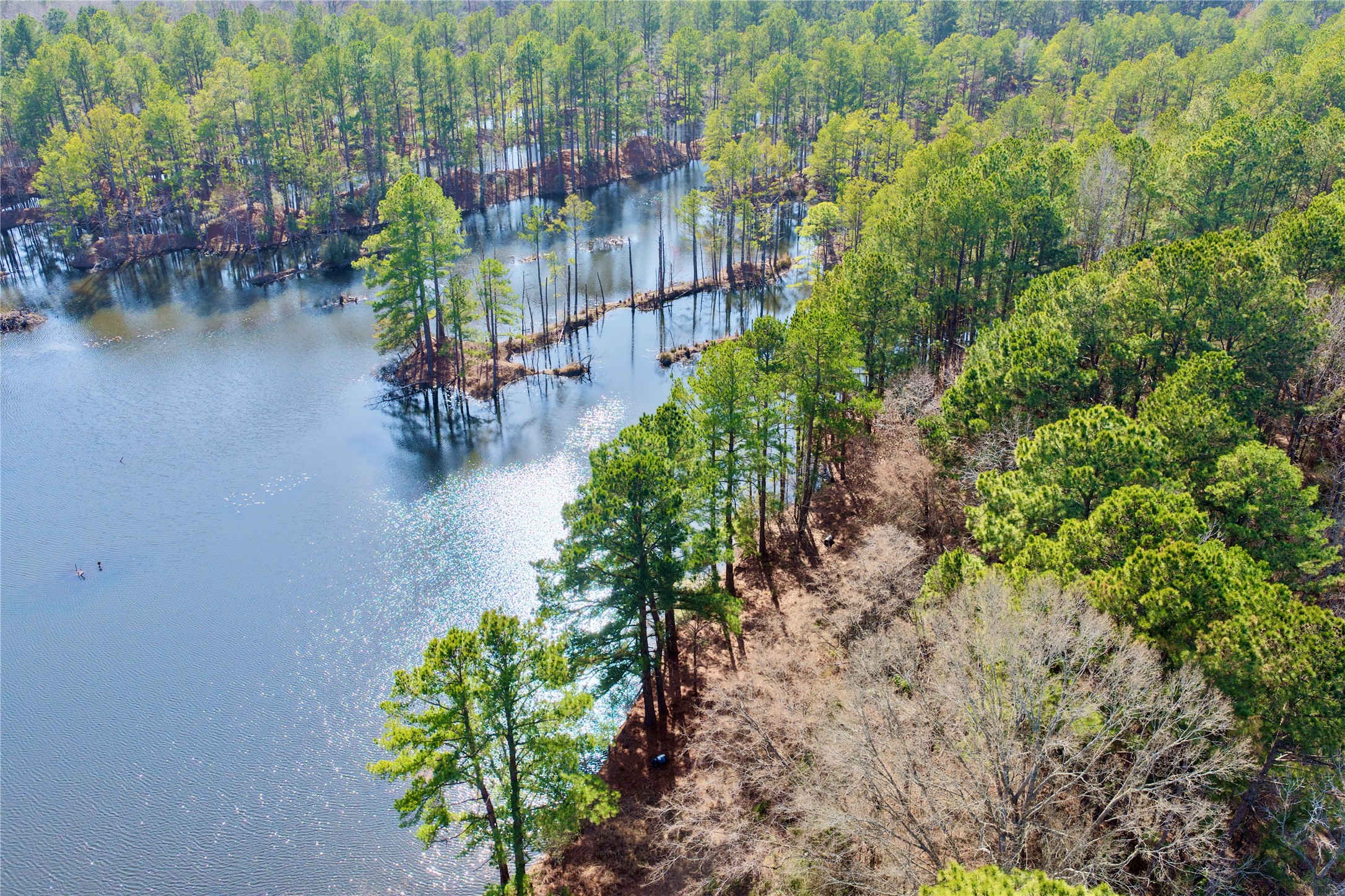 0000 Stateline Road Texarkana TX 75501