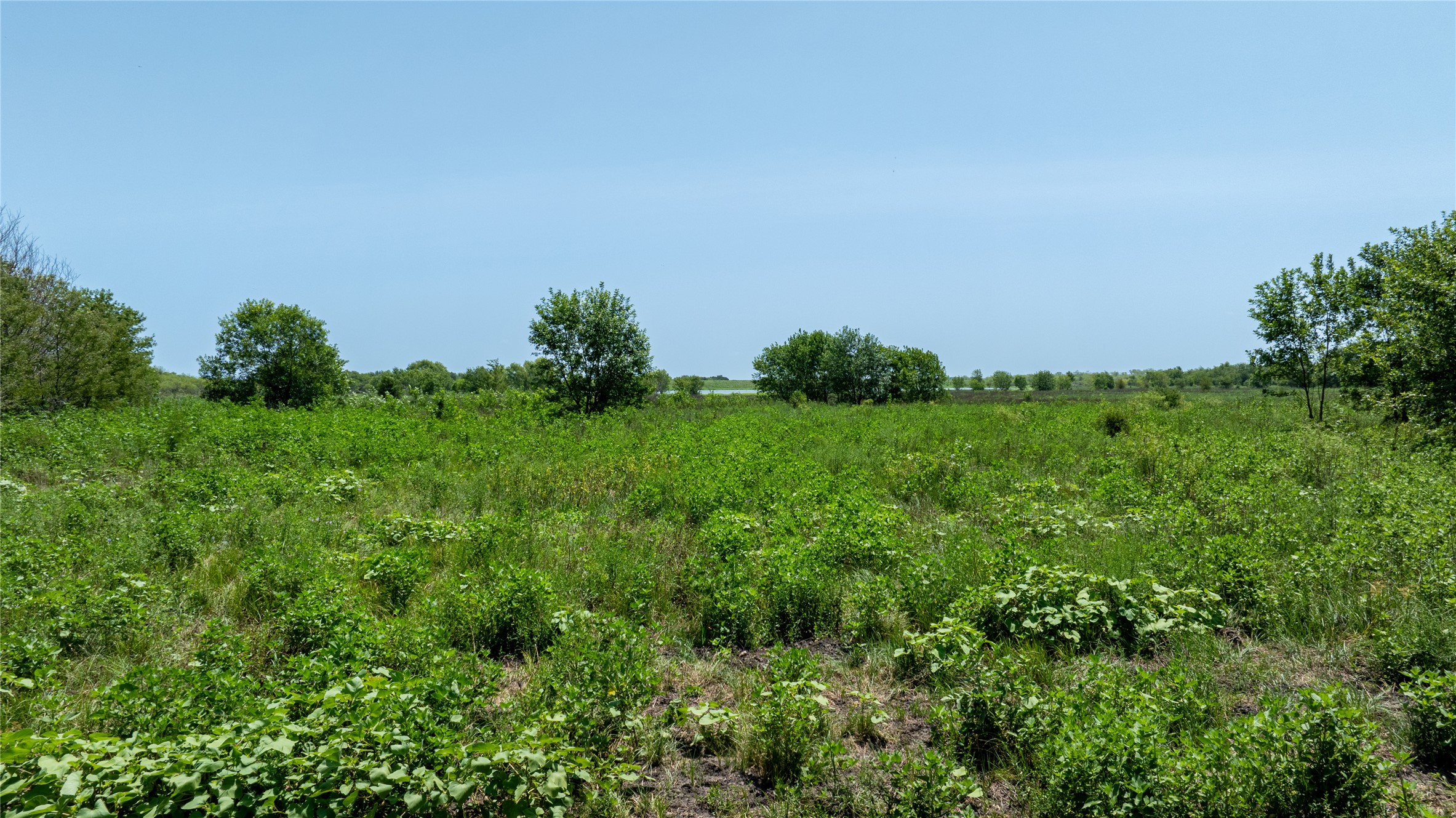 Tbd Barker Lane Rice TX 75155