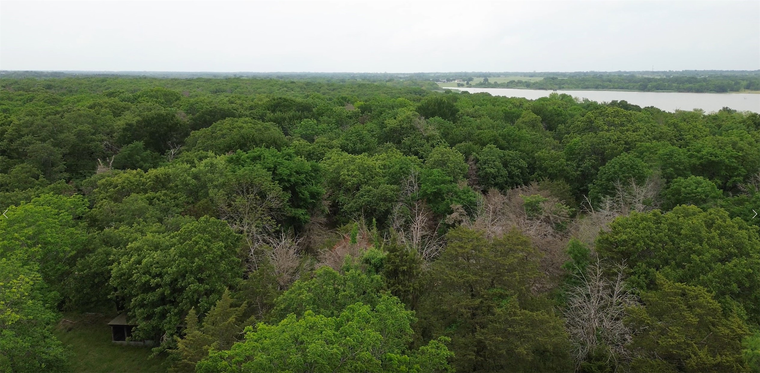 11203 County Road 2170 Corsicana TX 75109