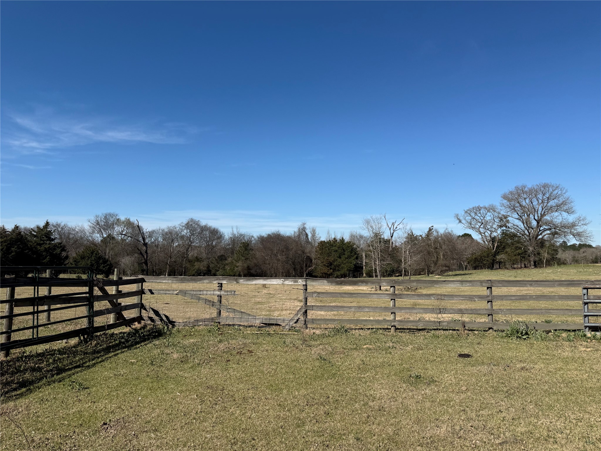 Tbd Cr 1755 Grapeland TX 75844