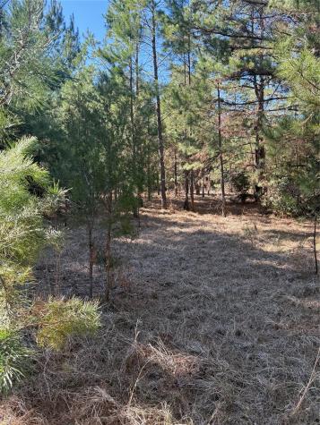 Tbd Cr 1755 Grapeland TX 75844