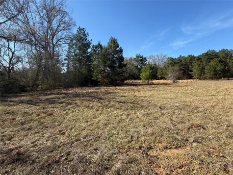 TBD Cr 1755 Grapeland TX 75844