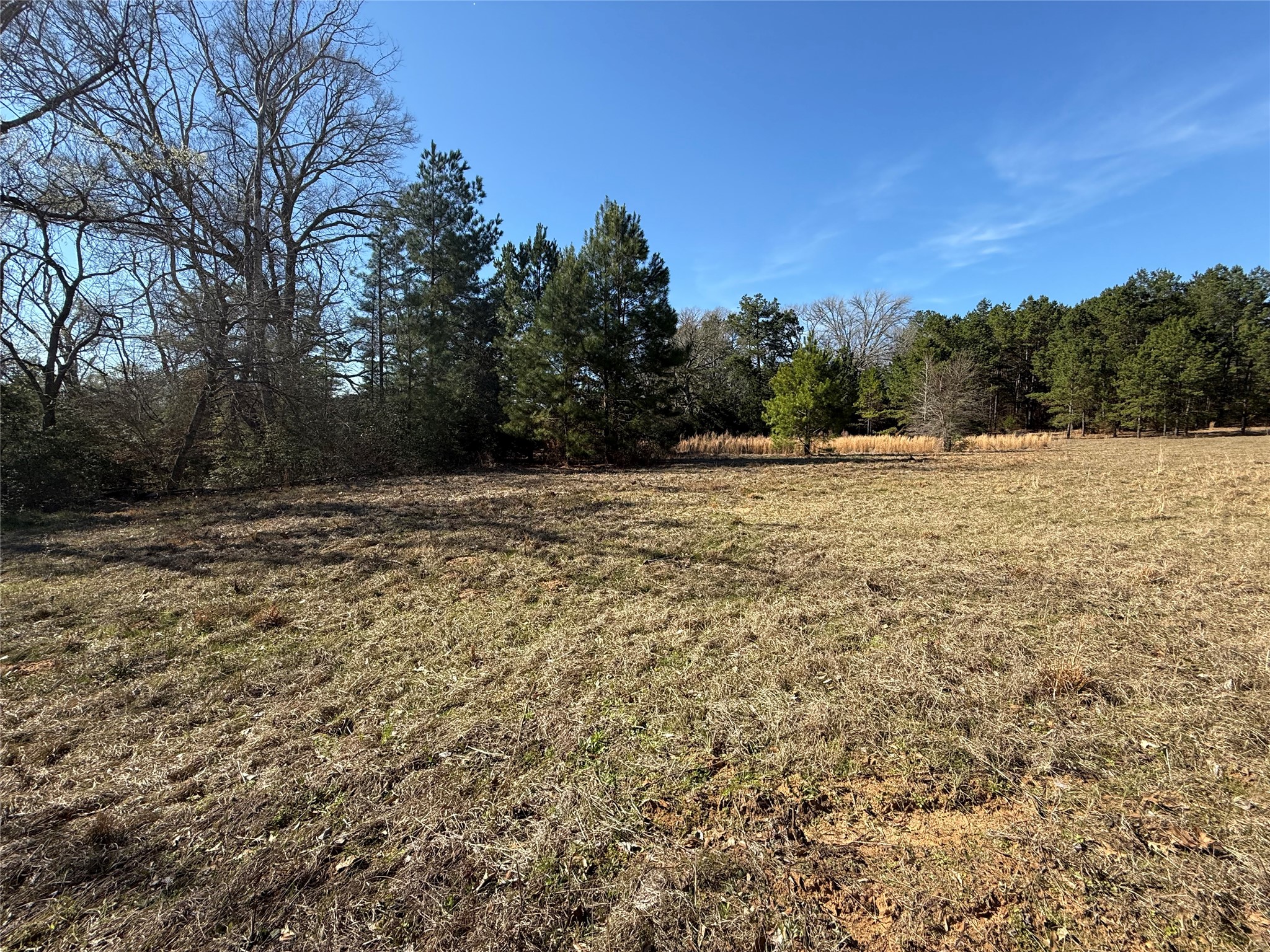 Tbd Cr 1755 Grapeland TX 75844