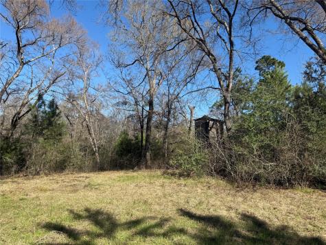 TBD Cr 1755 Grapeland TX 75844