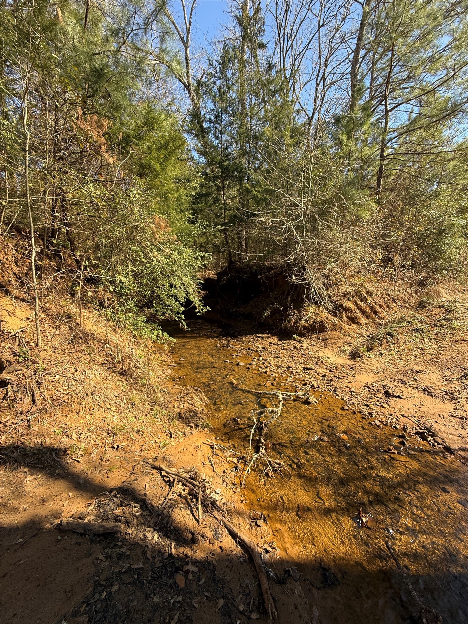 Tbd Cr 1755 Grapeland TX 75844