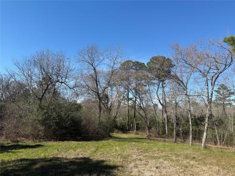 Tbd Cr 1755 Grapeland TX 75844