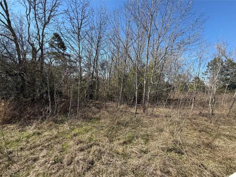 Tbd Cr 1755 Grapeland TX 75844
