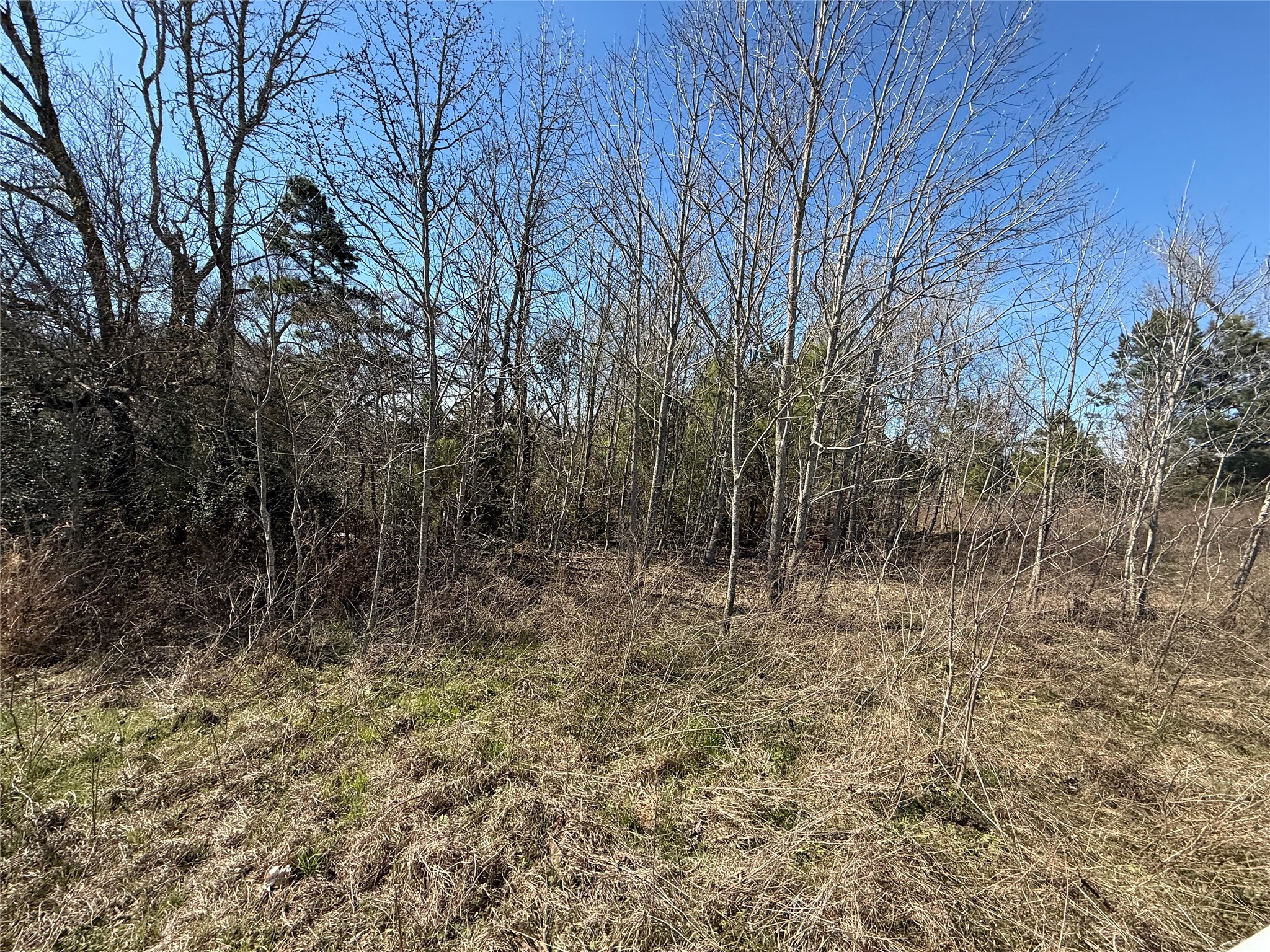 Tbd Cr 1755 Grapeland TX 75844