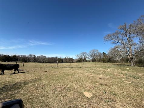 Tbd Cr 1755 Grapeland TX 75844