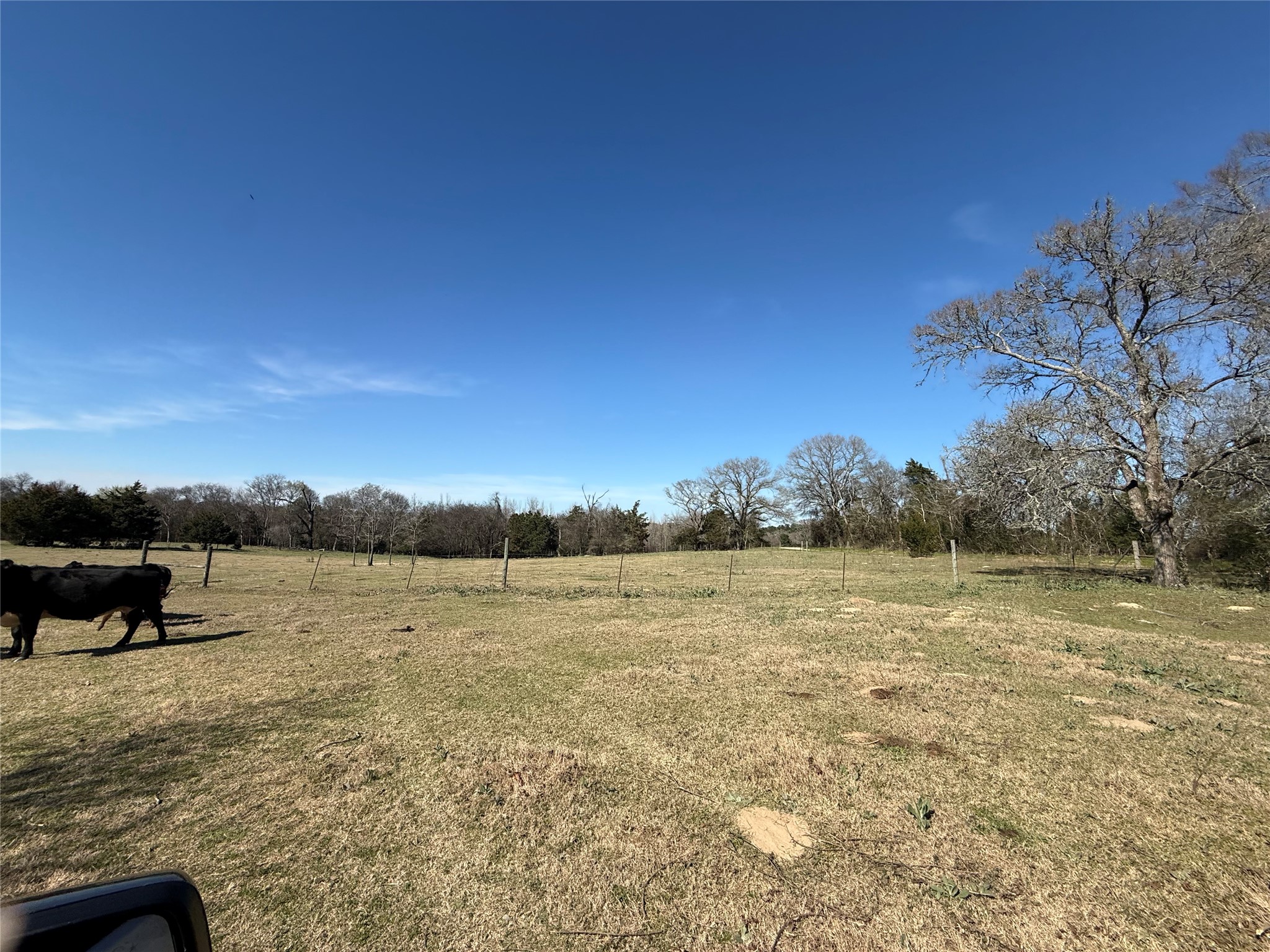 Tbd Cr 1755 Grapeland TX 75844