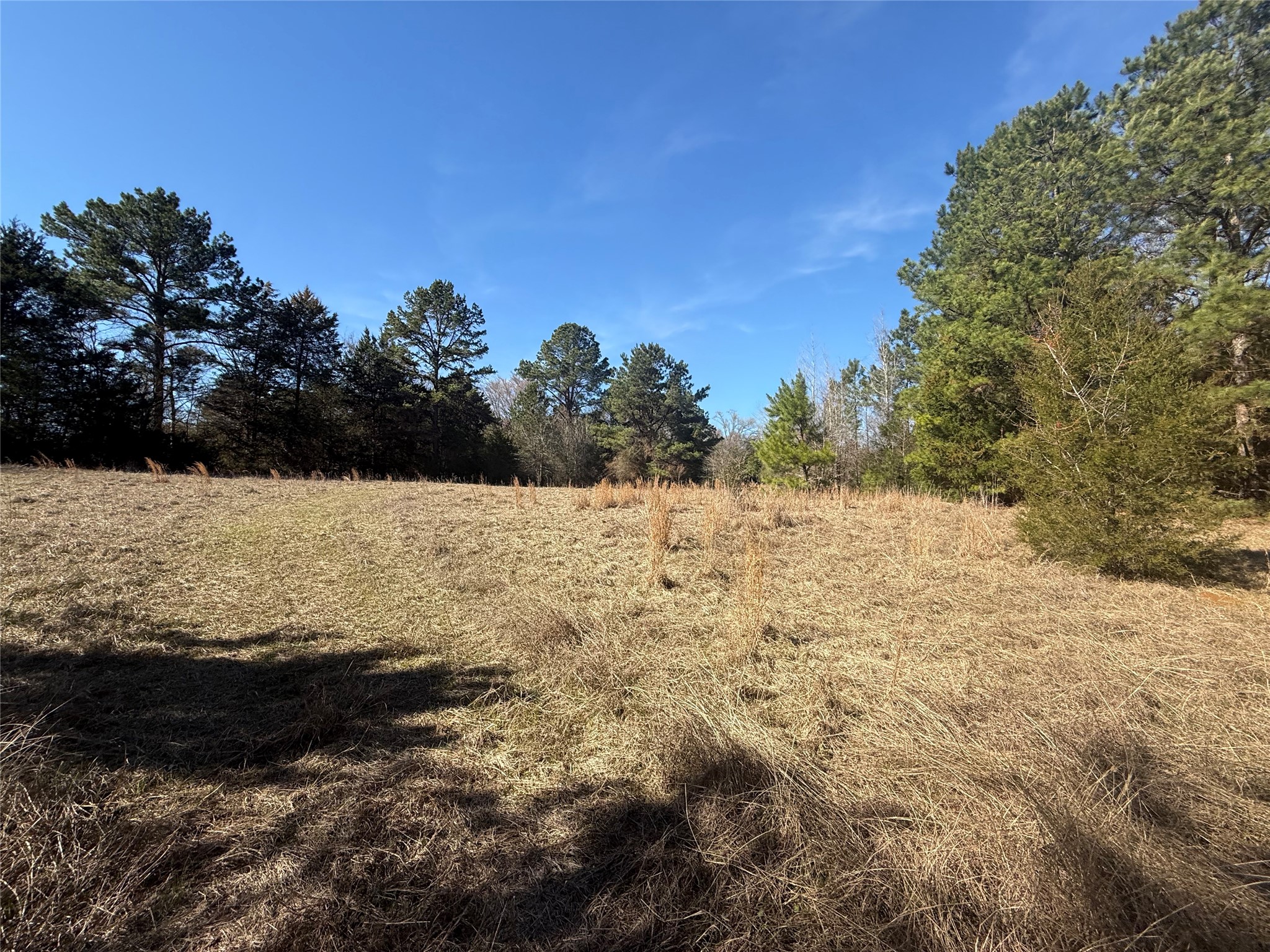 Tbd Cr 1755 Grapeland TX 75844
