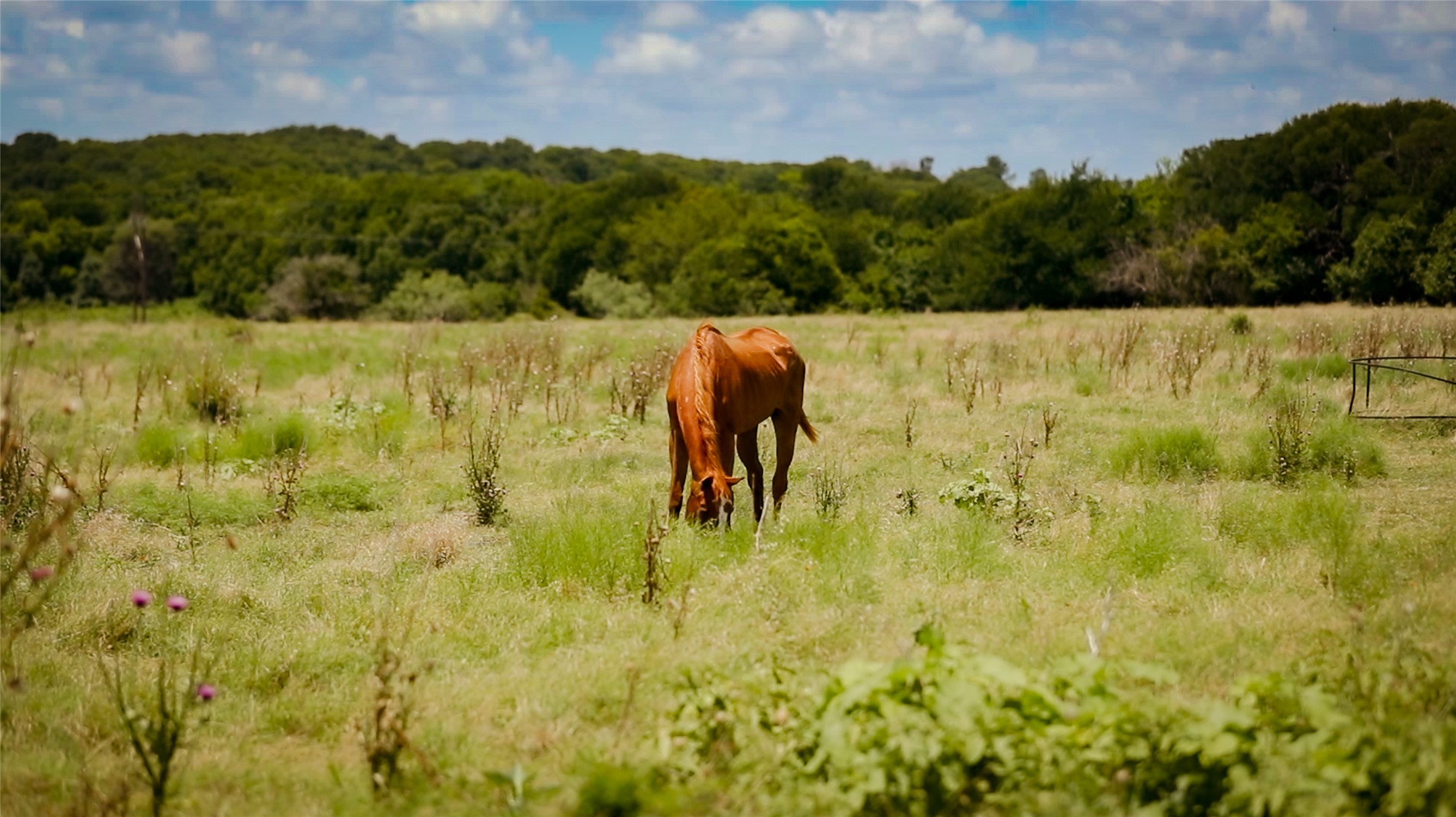 000 Fm 308 Milford TX 76670