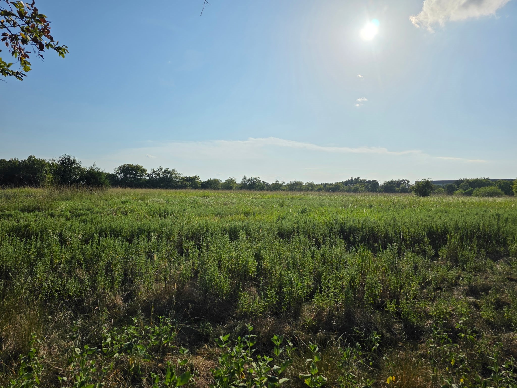0000 N Grayson Street Groesbeck TX 76642