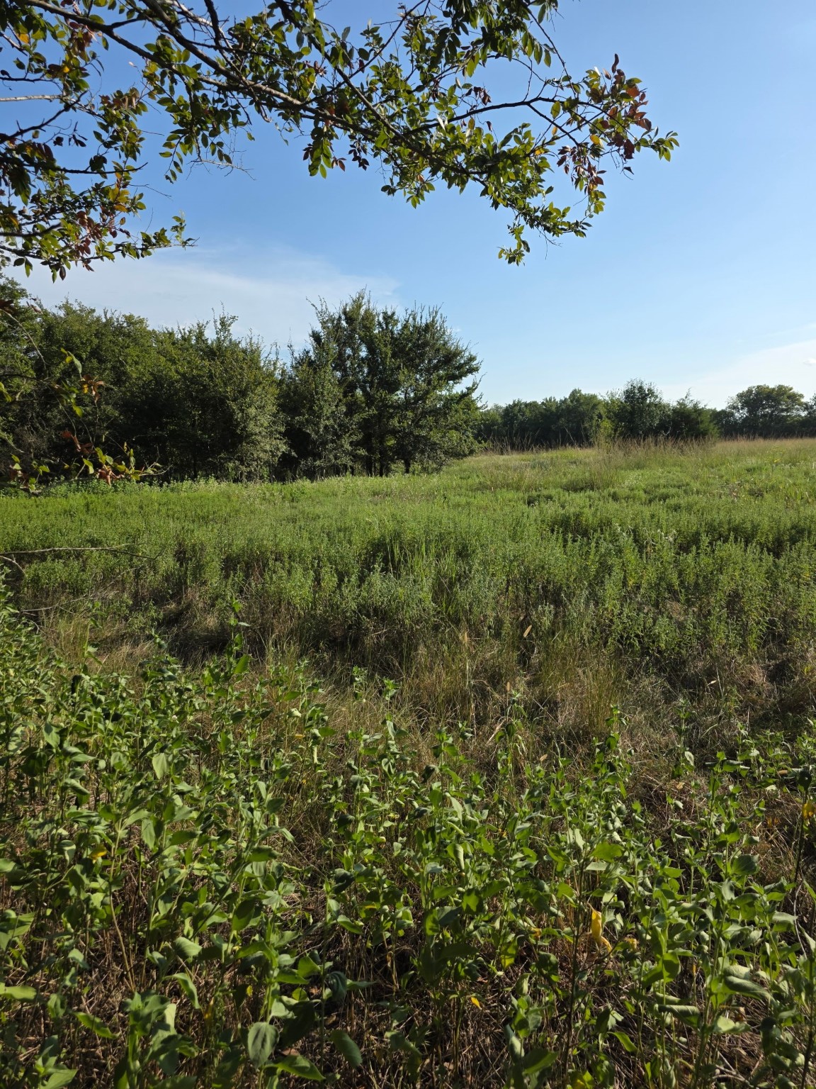 0000 N Grayson Street Groesbeck TX 76642