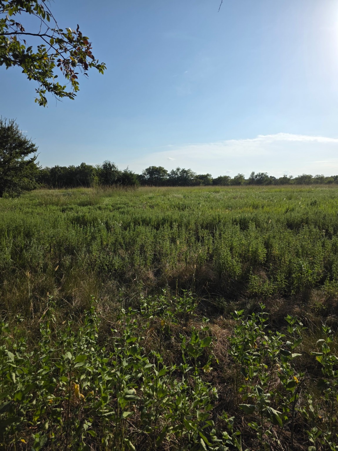0000 N Grayson Street Groesbeck TX 76642