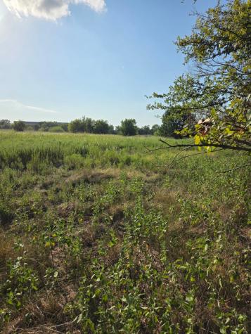 0000 N Grayson Street Groesbeck TX 76642
