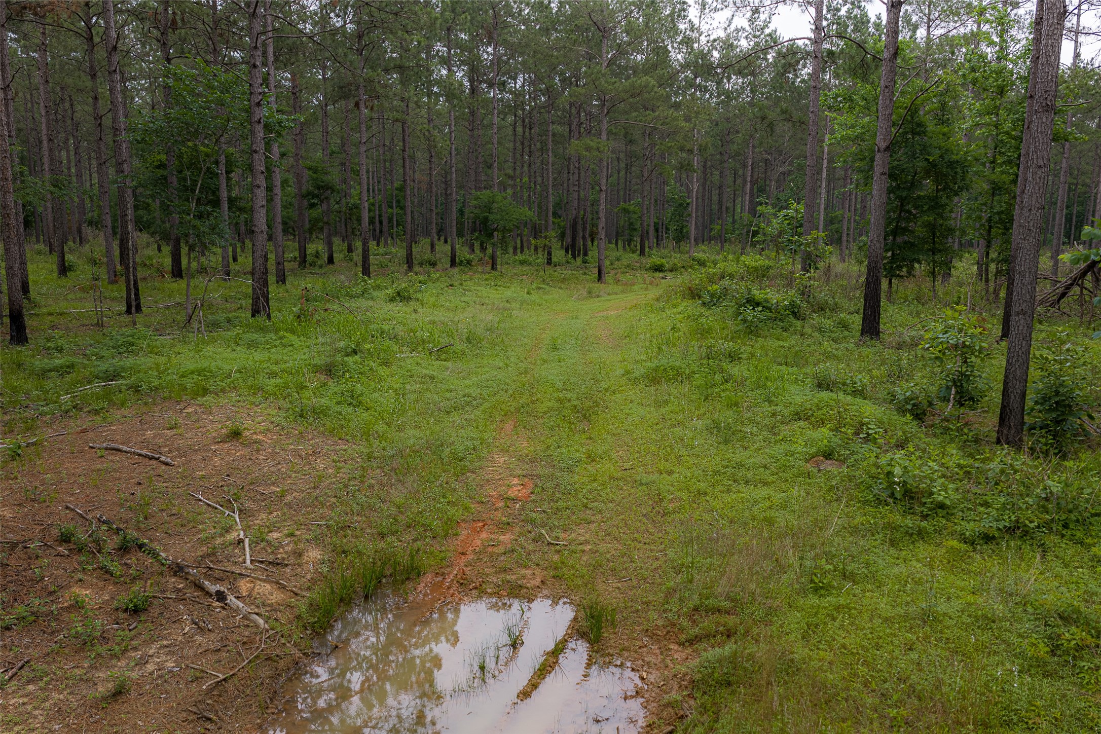 0 Cr 155 Long Branch TX 75669