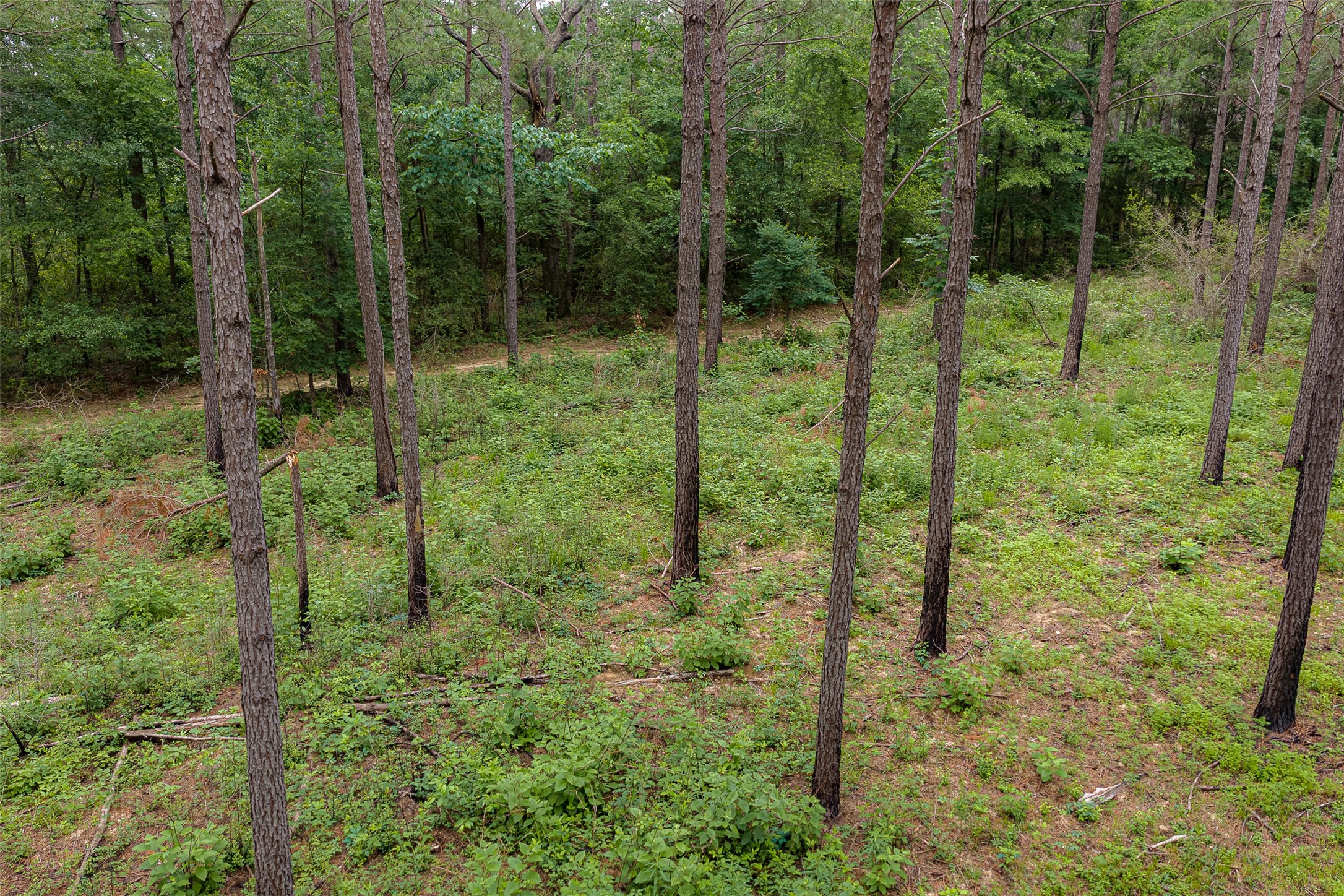 0 Cr 155 Long Branch TX 75669