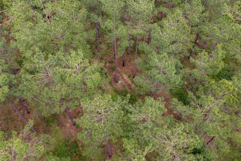 0 Cr 155 Long Branch TX 75669