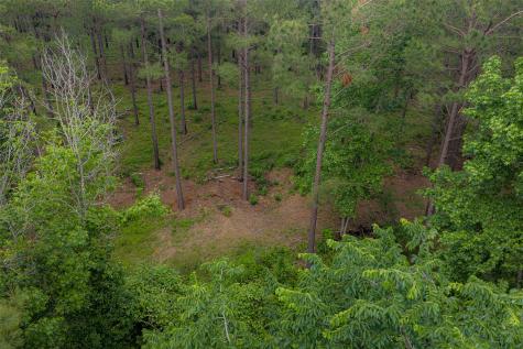 0 Cr 155 Long Branch TX 75669