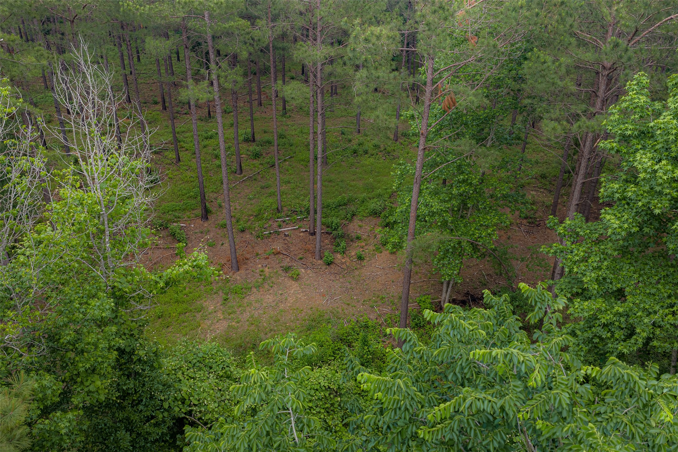 0 Cr 155 Long Branch TX 75669
