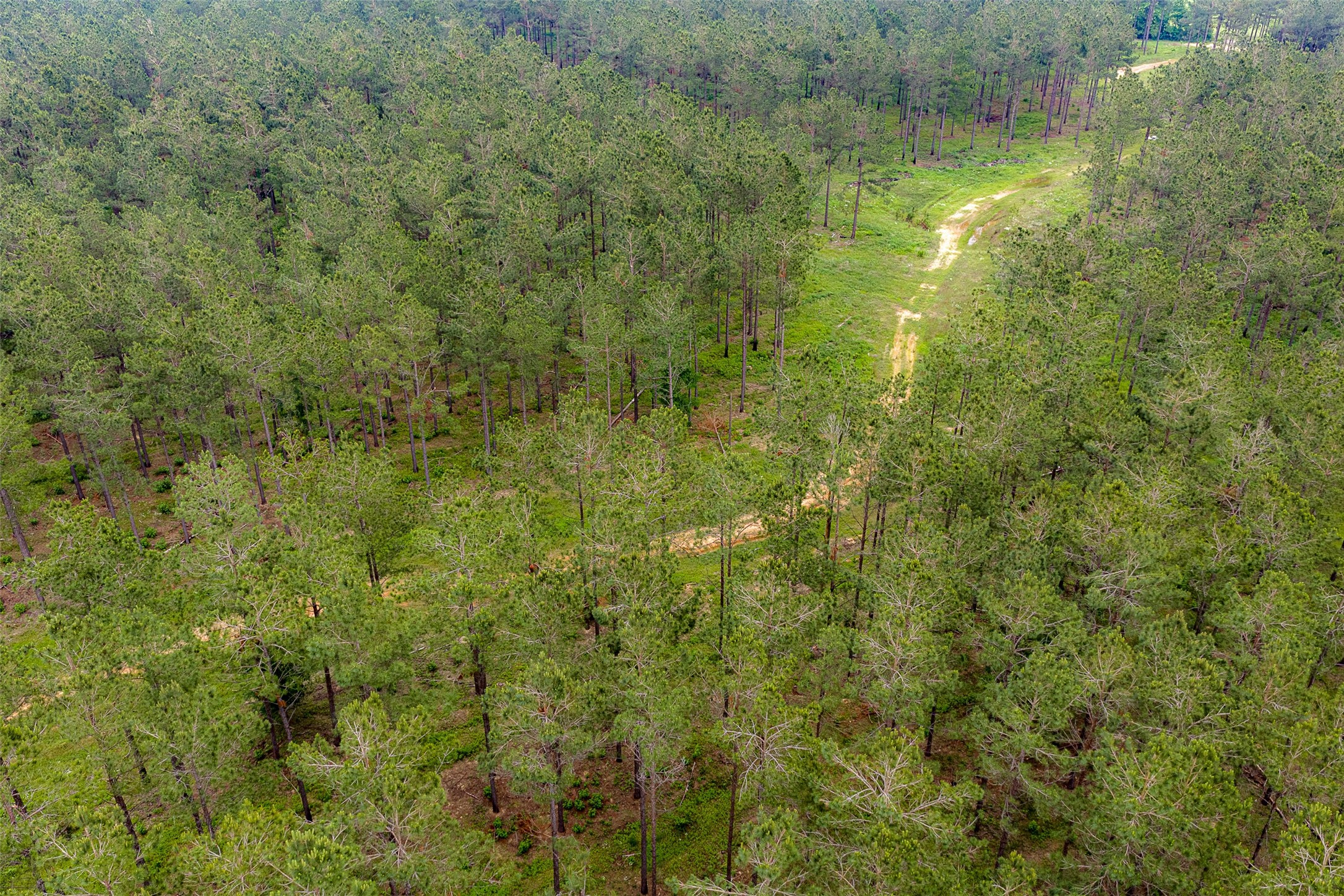 0 Cr 155 Long Branch TX 75669