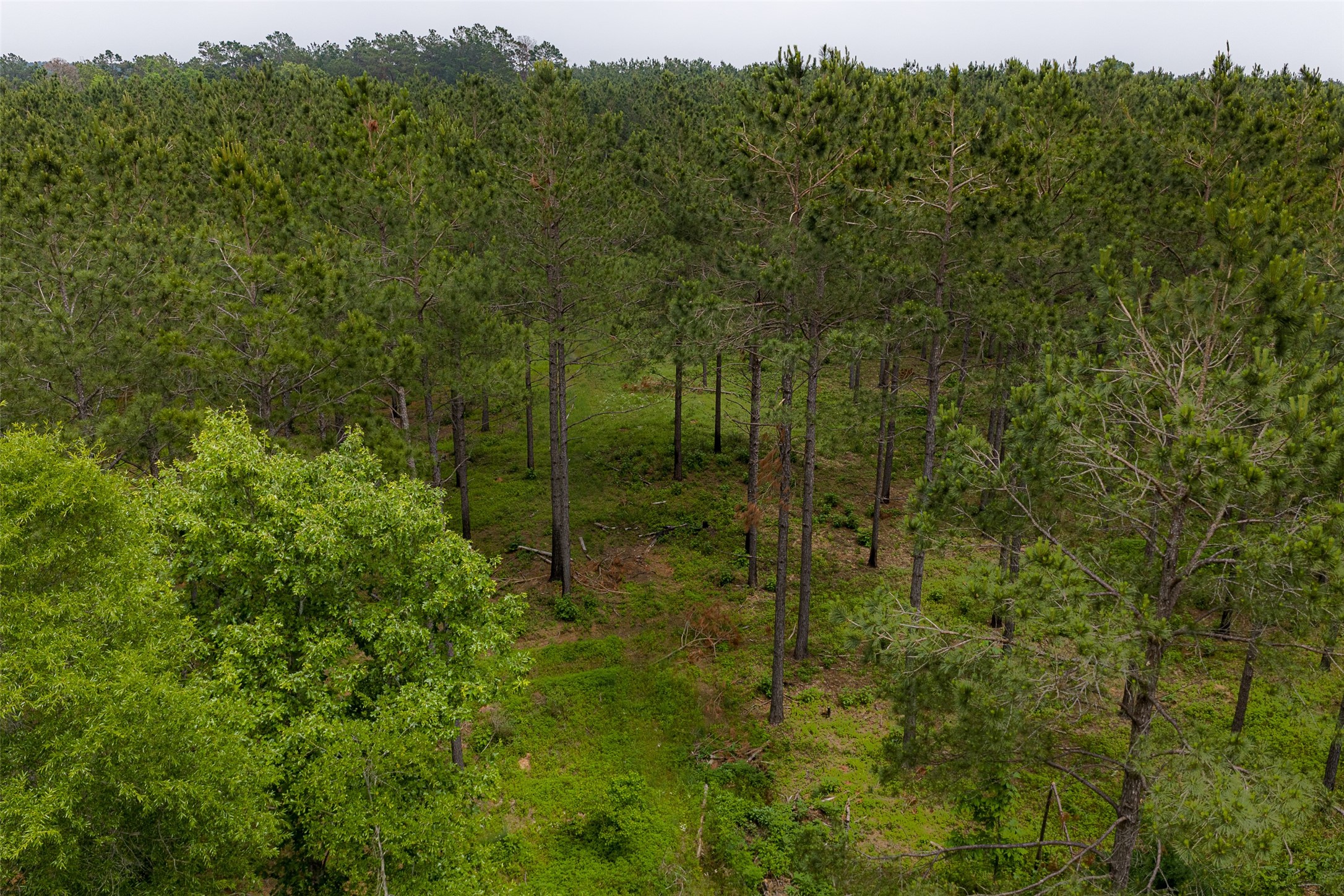 0 Cr 155 Long Branch TX 75669