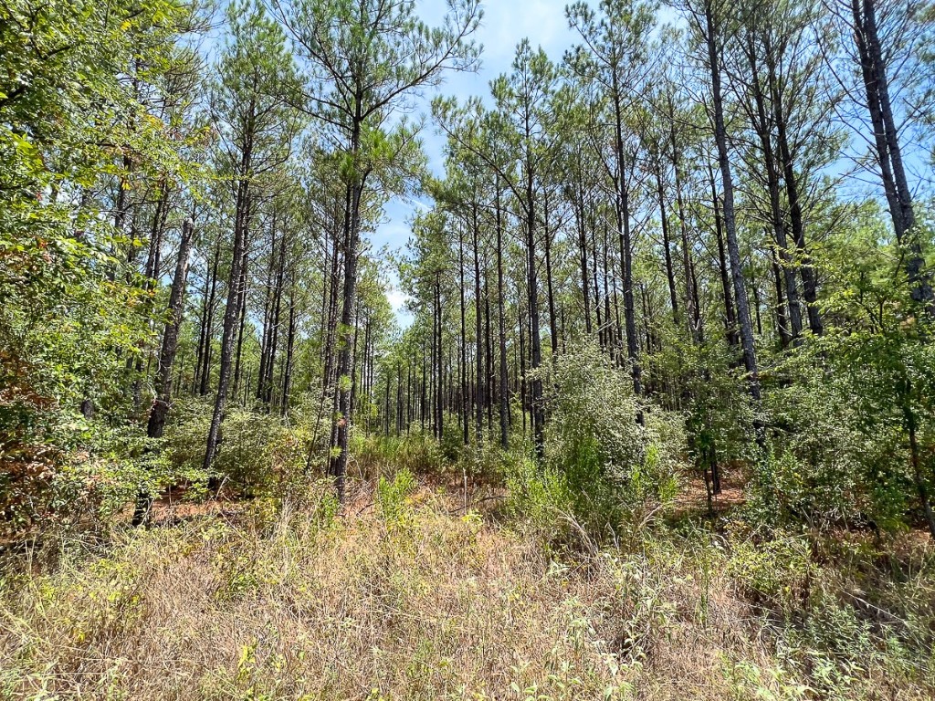 0 Lost Indian Camp Road Huntsville TX 77320