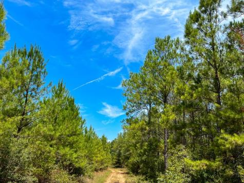 0 Lost Indian Camp Road Huntsville TX 77320