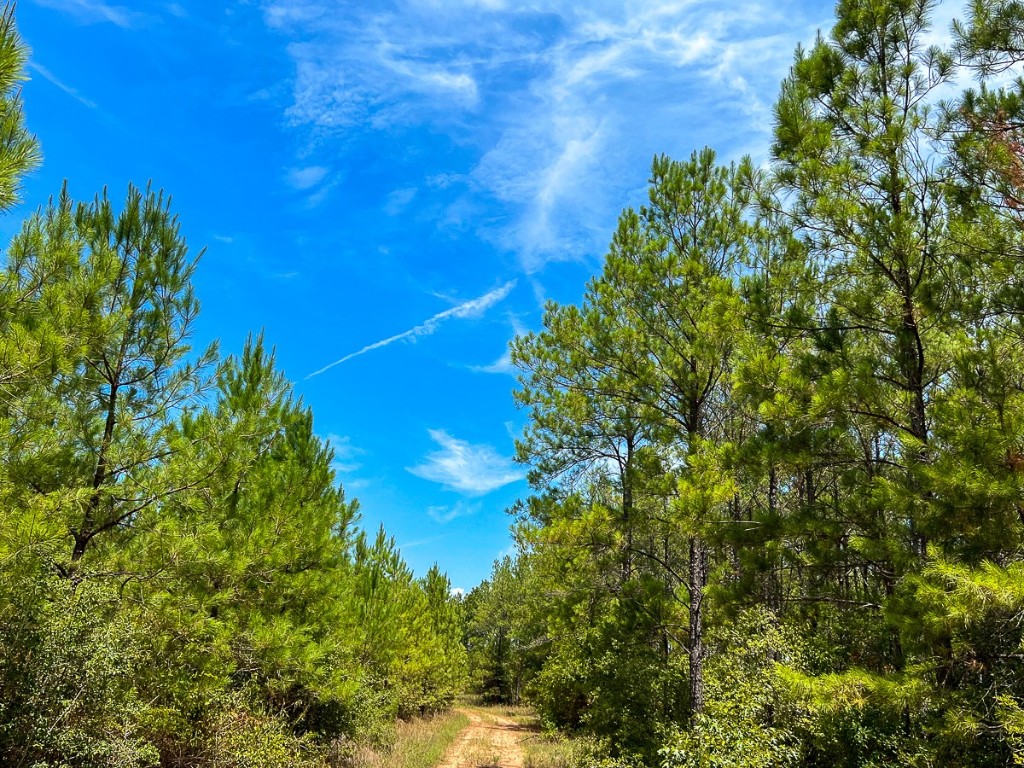 0 Lost Indian Camp Road Huntsville TX 77320