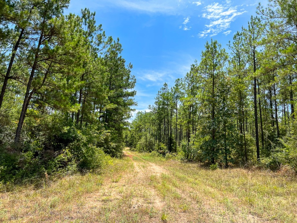 0 Lost Indian Camp Road Huntsville TX 77320