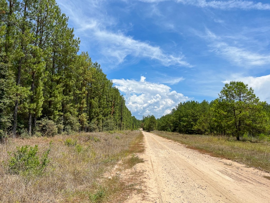 0 Lost Indian Camp Road Huntsville TX 77320
