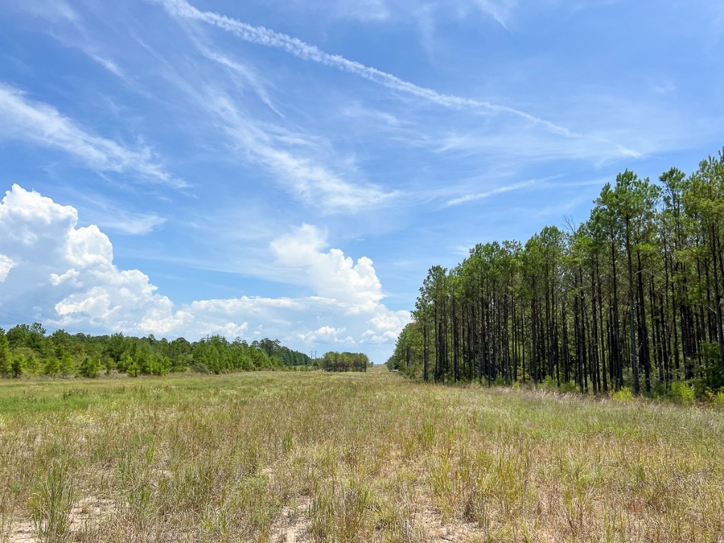0 Lost Indian Camp Road Huntsville TX 77320