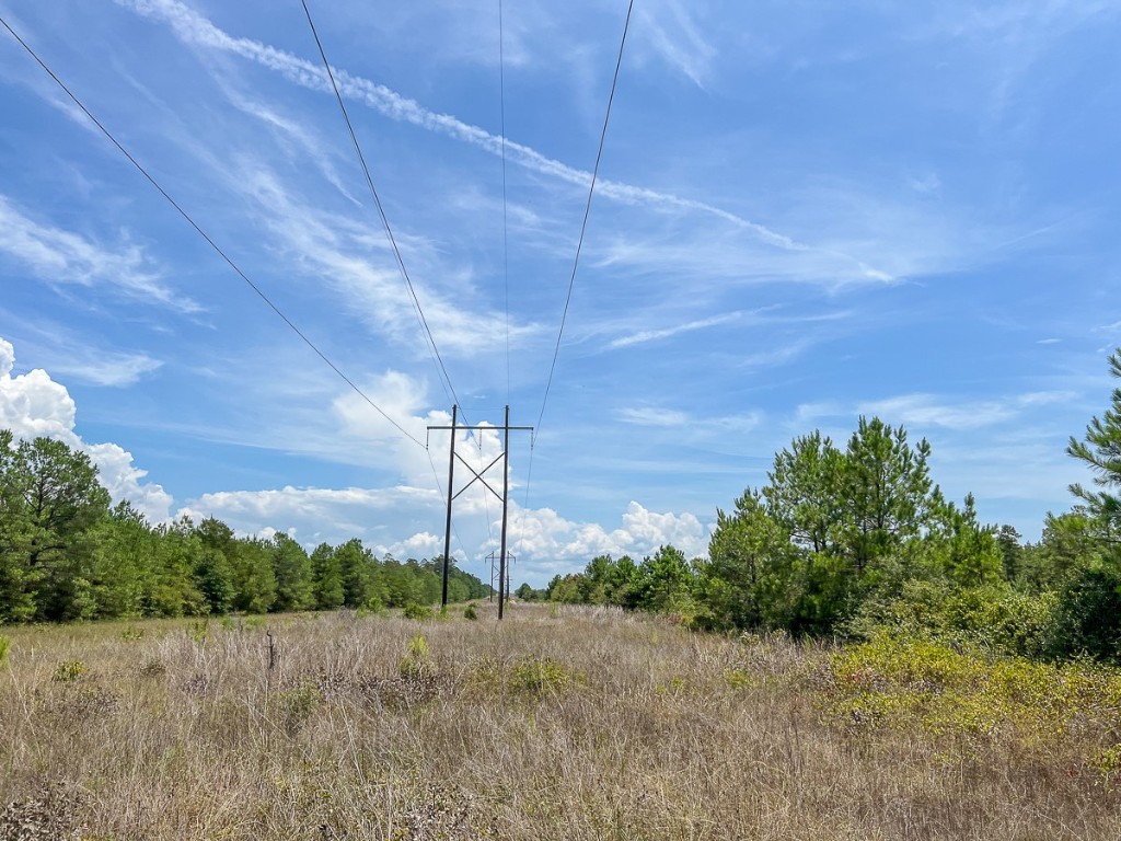 0 Lost Indian Camp Road Huntsville TX 77320