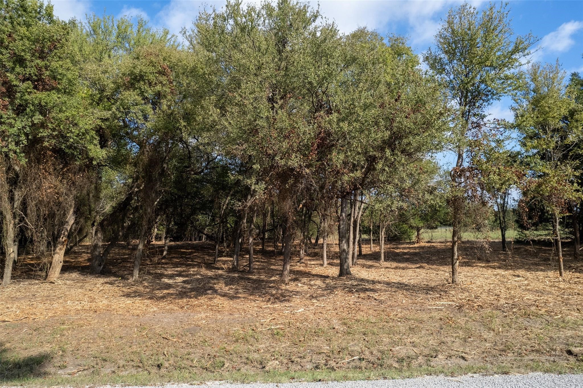 Lot 4 Mcfarlin Road Collinsville TX 76233
