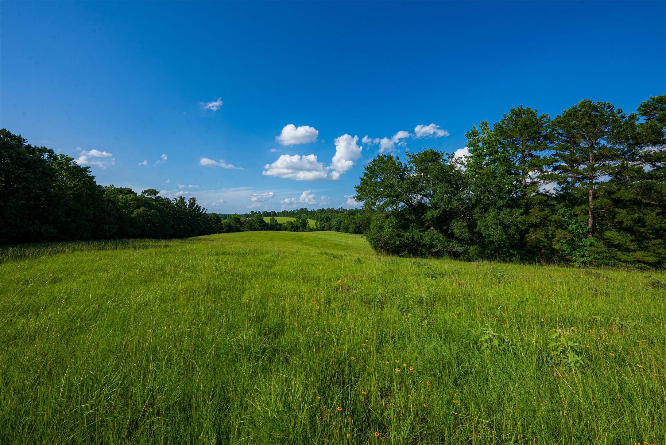 2030 County Road 1640 Grapeland TX 75844
