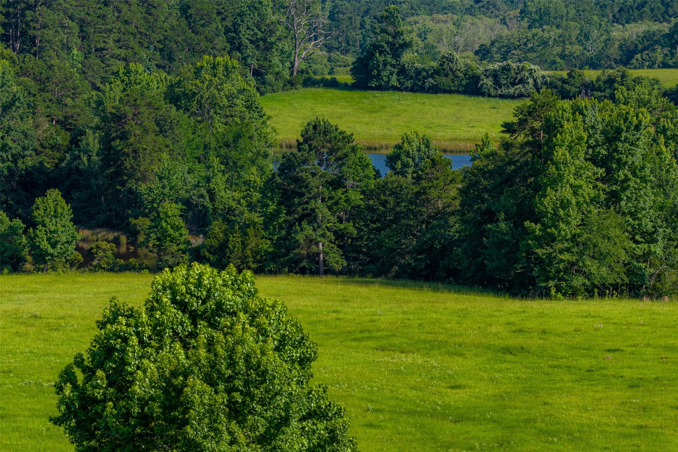 2030 County Road 1640 Grapeland TX 75844