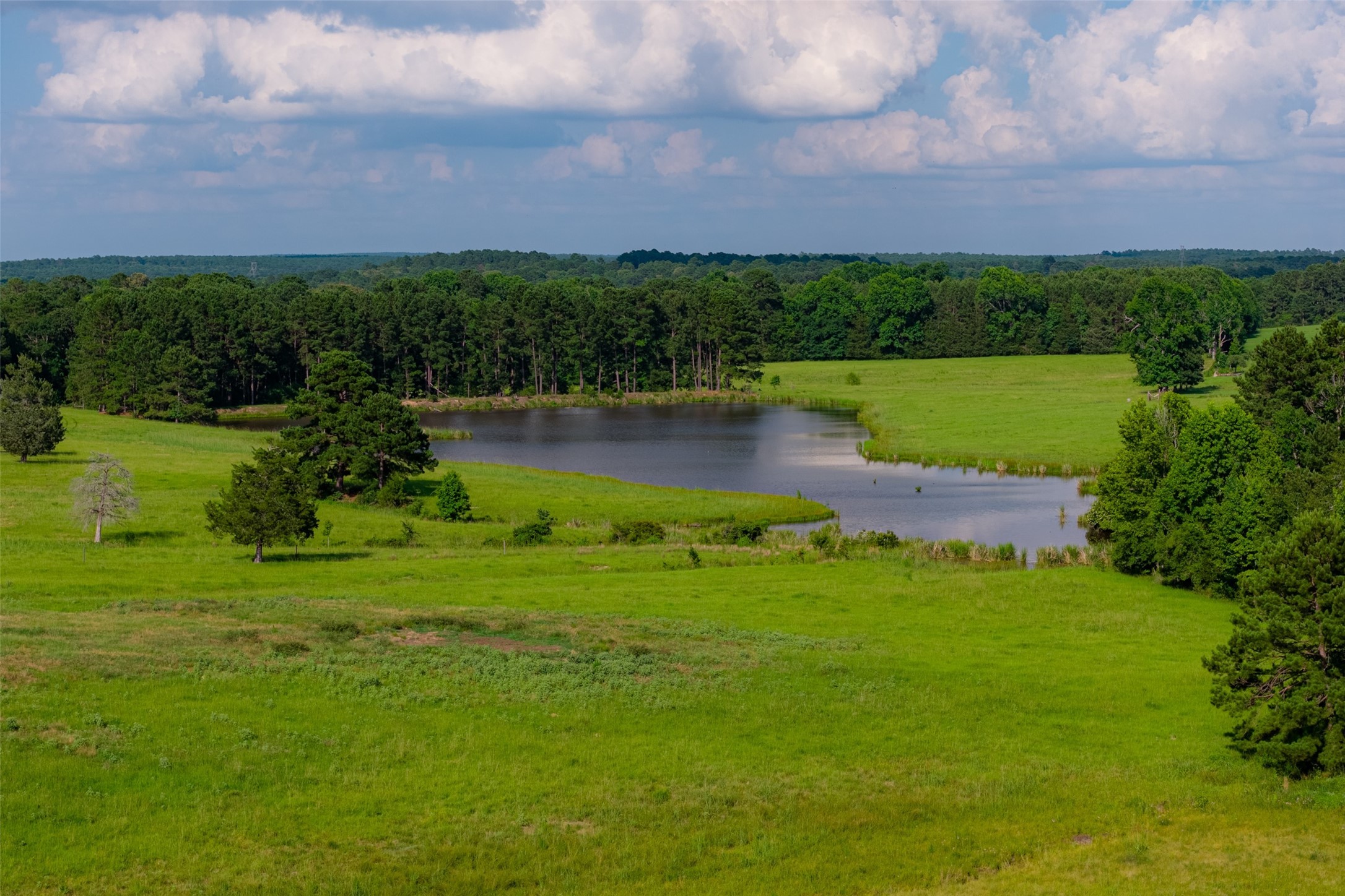 2030 County Road 1640 Grapeland TX 75844