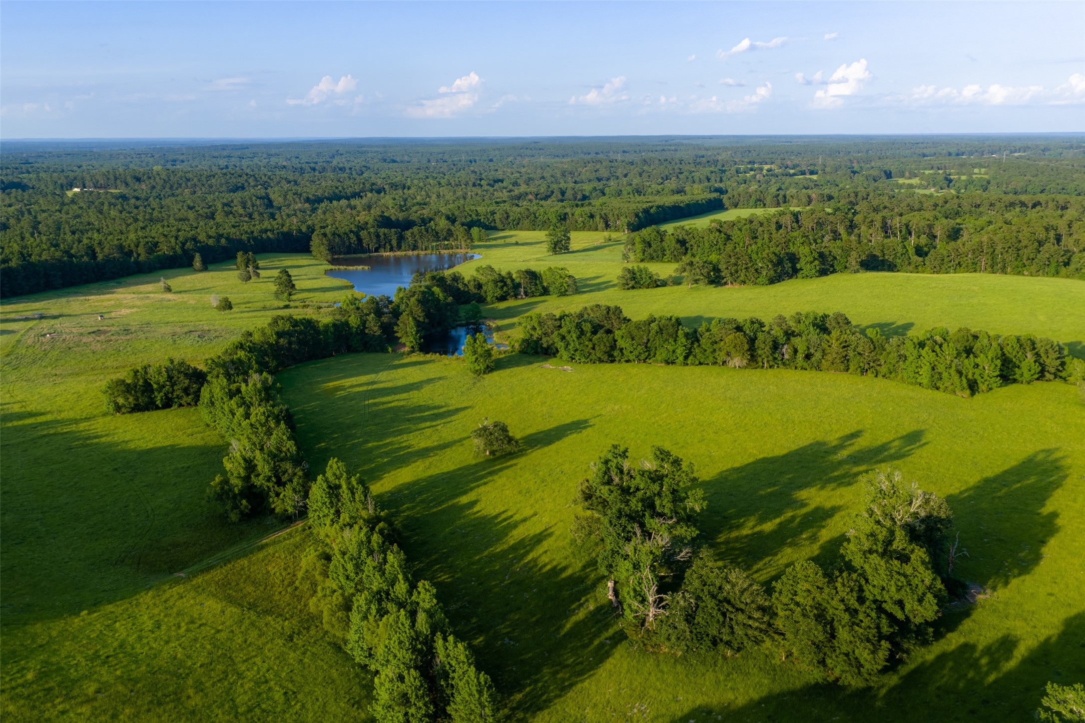 2030 County Road 1640 Grapeland TX 75844