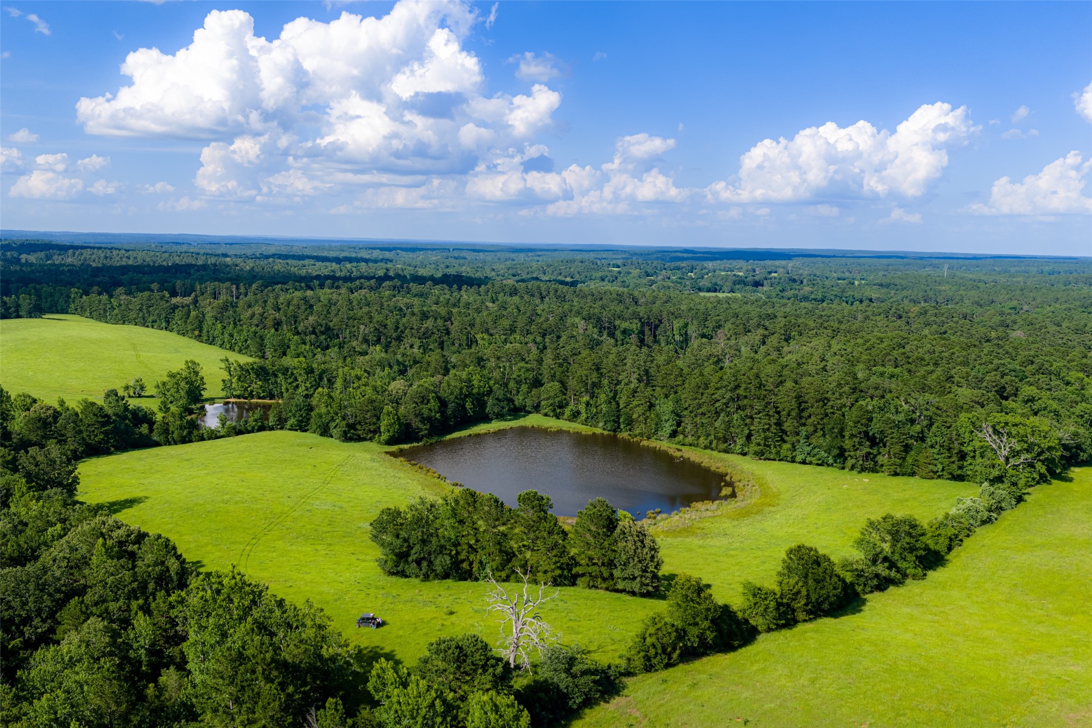 2030 County Road 1640 Grapeland TX 75844
