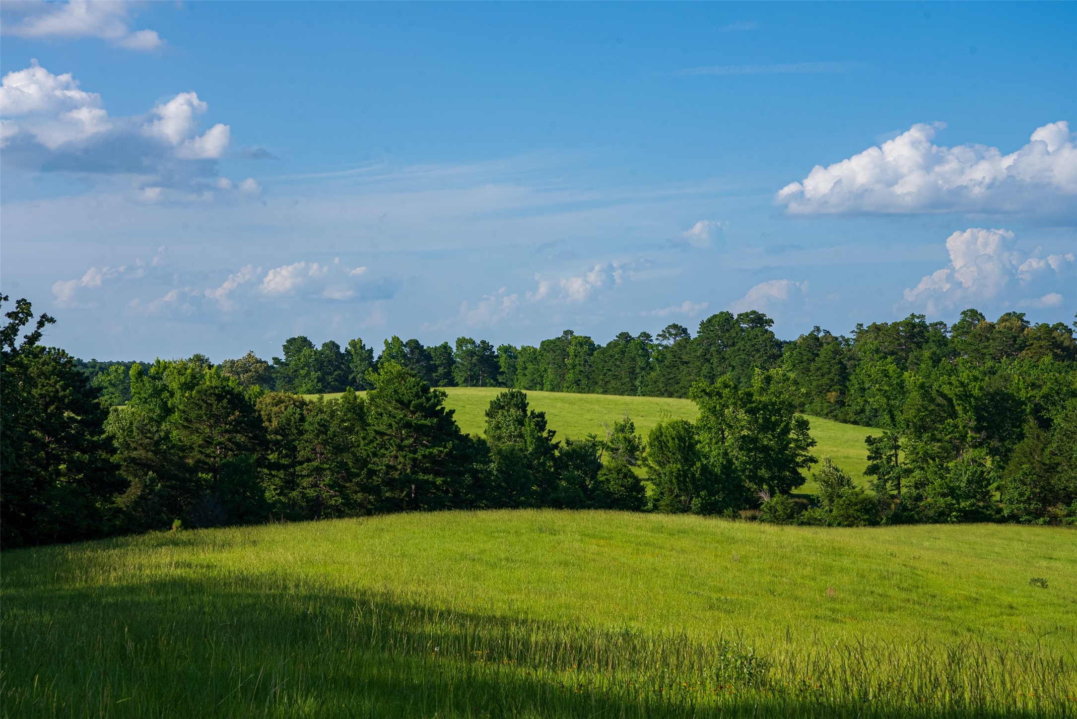 2030 County Road 1640 Grapeland TX 75844