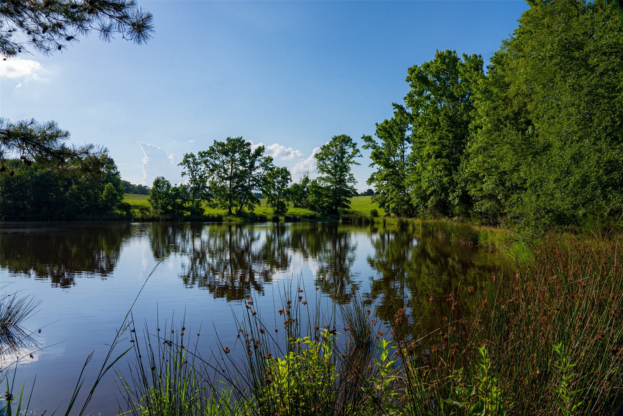 2030 County Road 1640 Grapeland TX 75844