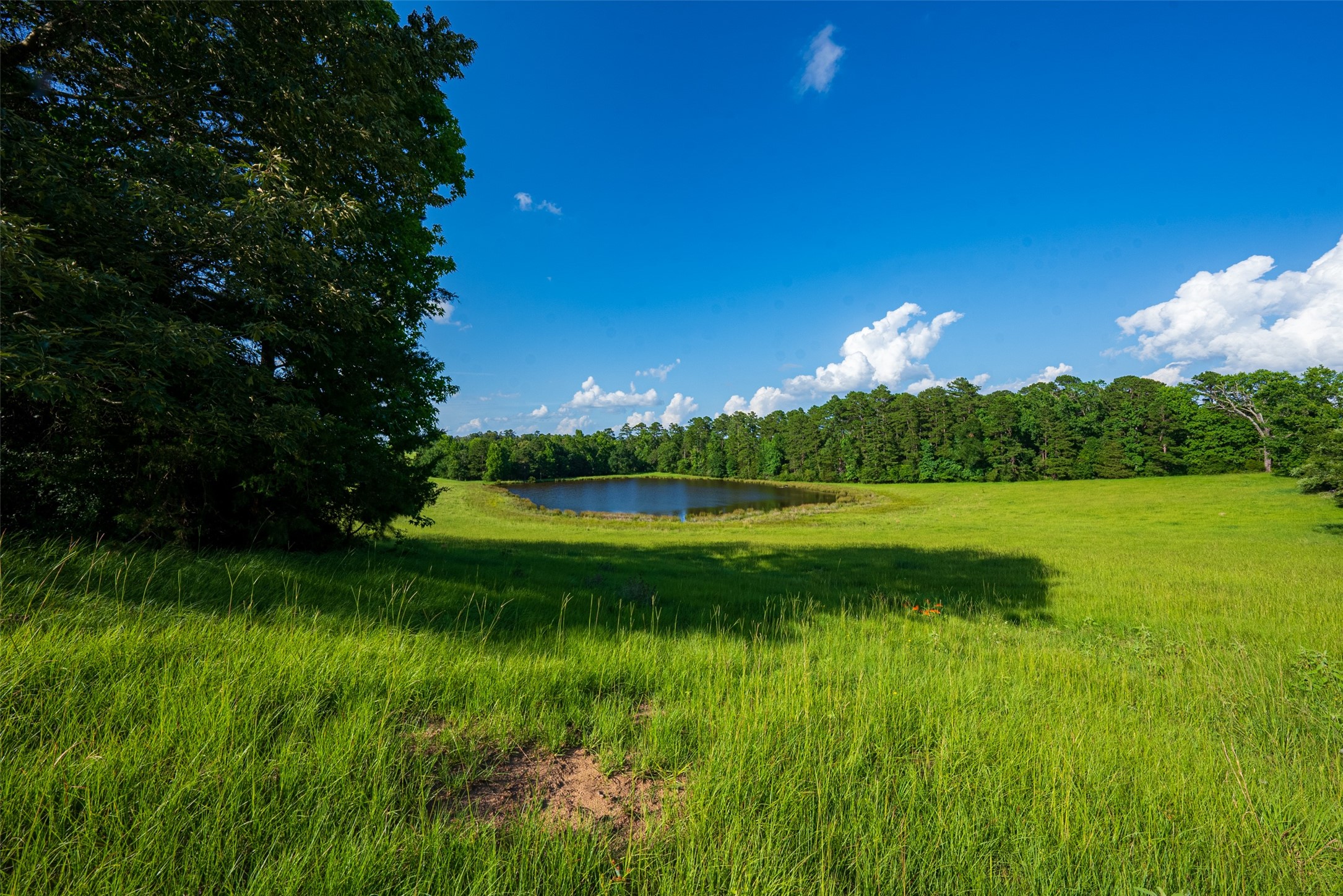 2030 County Road 1640 Grapeland TX 75844