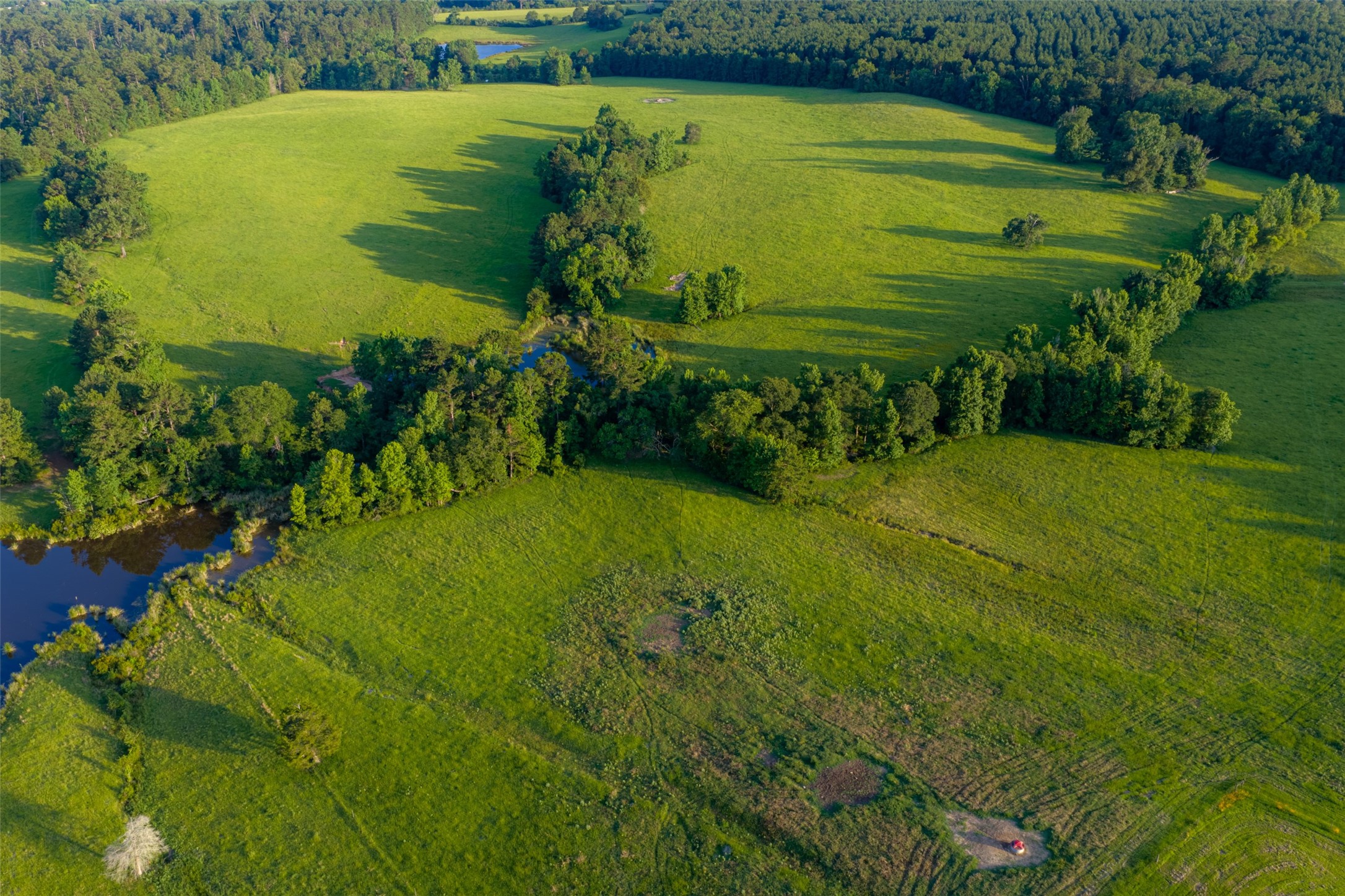2030 County Road 1640 Grapeland TX 75844