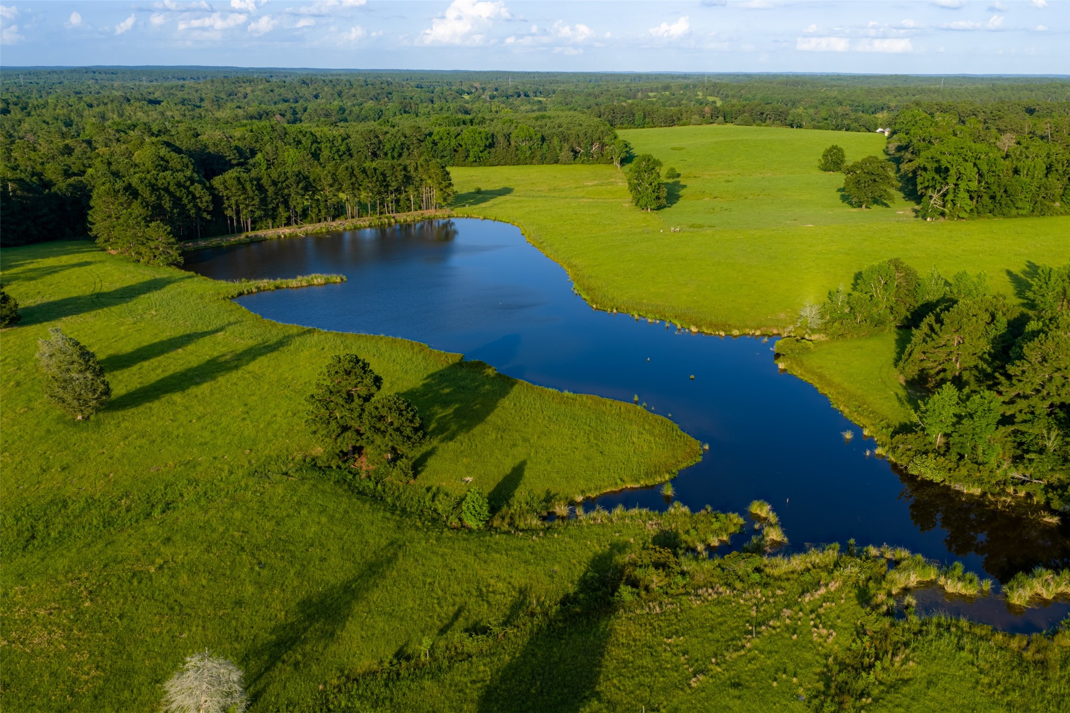 2030 County Road 1640 Grapeland TX 75844