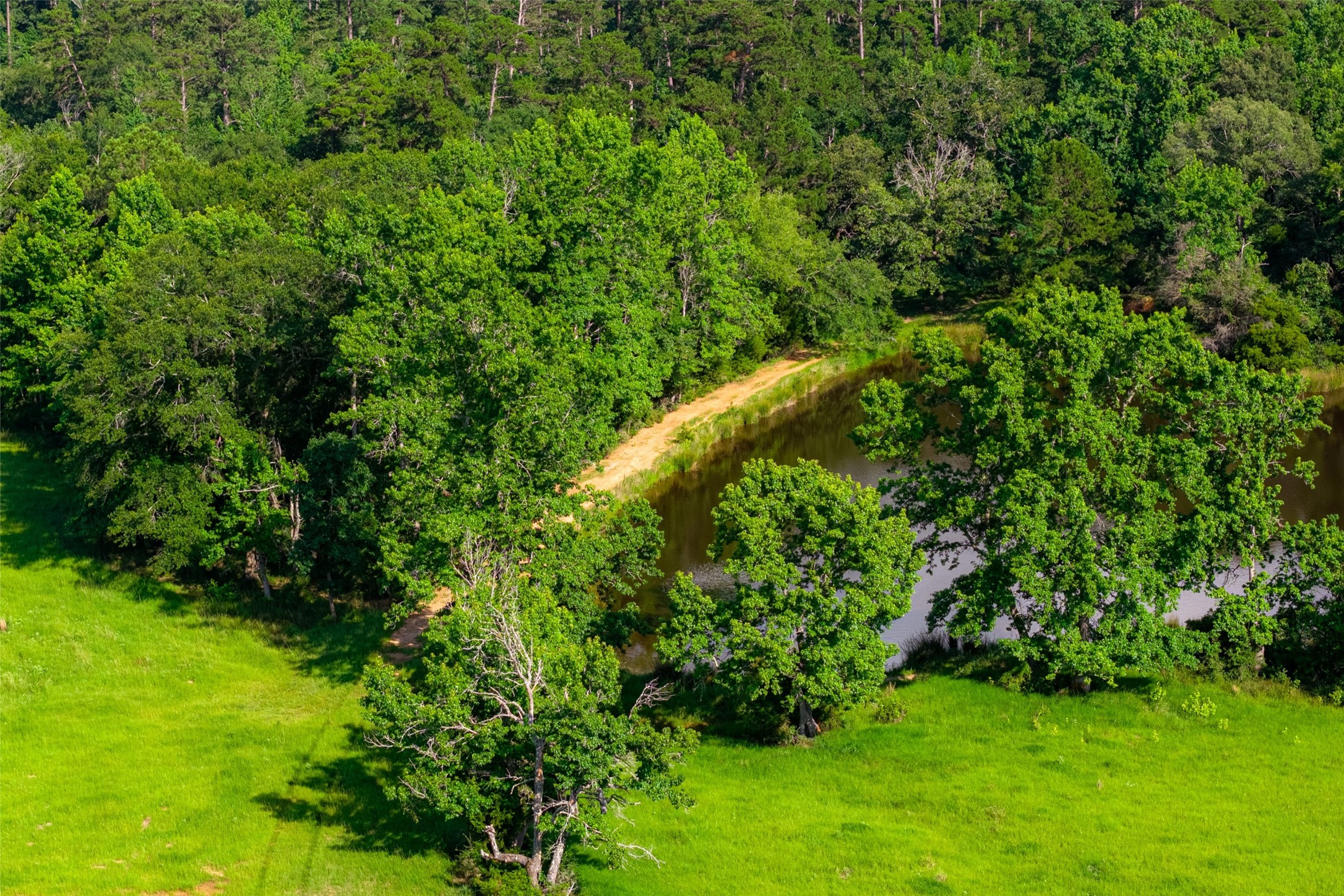 2030 County Road 1640 Grapeland TX 75844