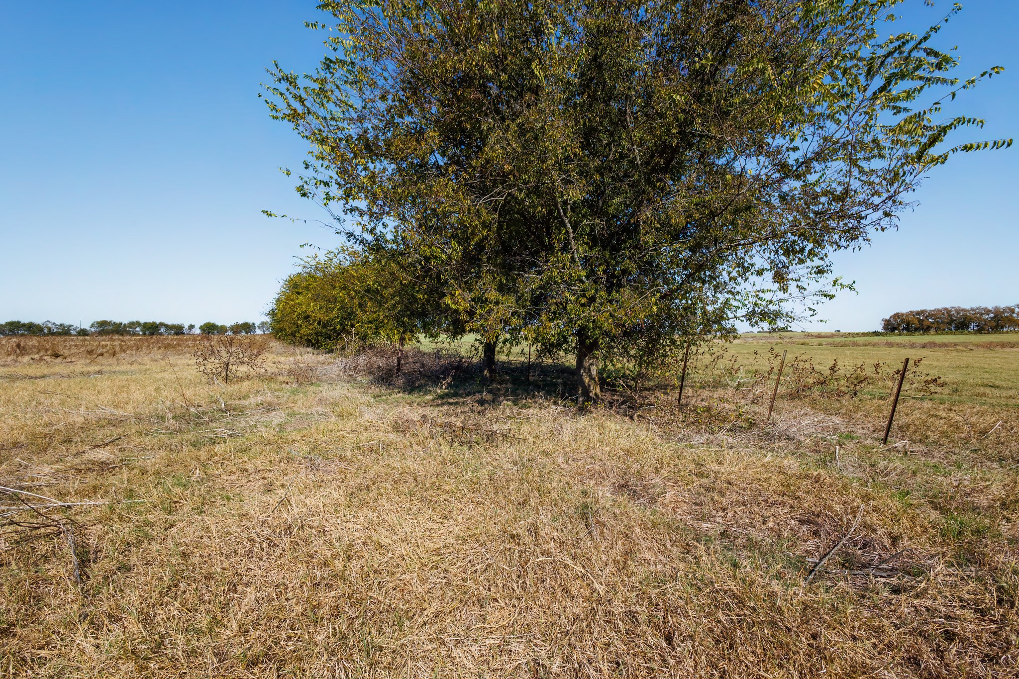 5814 Woodard Avenue Cleburne TX 76033